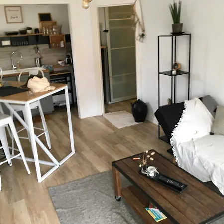 Soulacoconing Contemporain De La Апартаменты Сулак-сюр-Мер